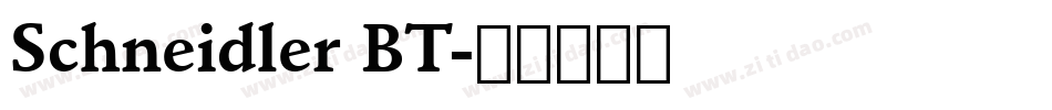 Schneidler BT字体转换